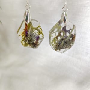 Cercei Botanical - Thumbnail 7